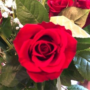 Meet your Posher, Christine